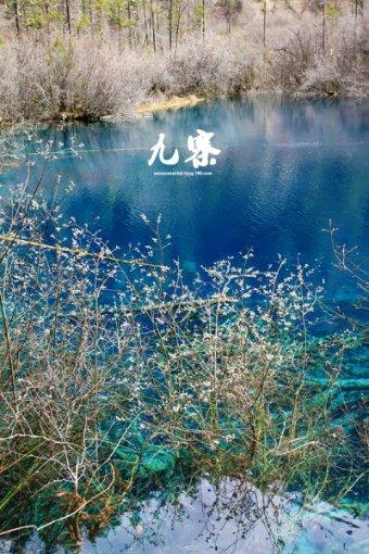 海盗寻宝记
