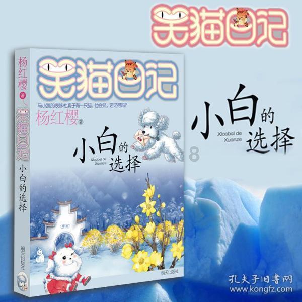 济南发布最新干部任前公示