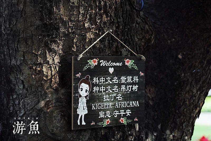 怎么申请自媒体账号赚钱游戏画面