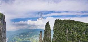 【委员来当推荐官⑤】TA的名字叫苗绣 飞针走线指尖游