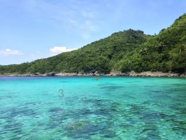 逃出神奇蘑菇林