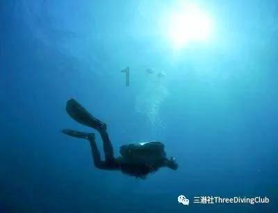 逃离壳牌岛