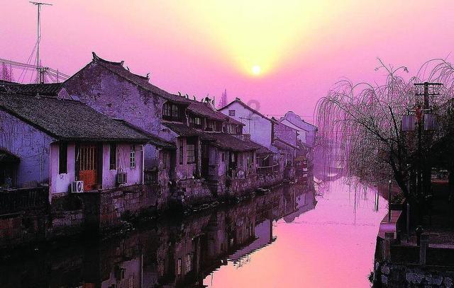 夜失眠,白天无神?睡前多吃“三苦物”,安神助睡眠,睡得很安心