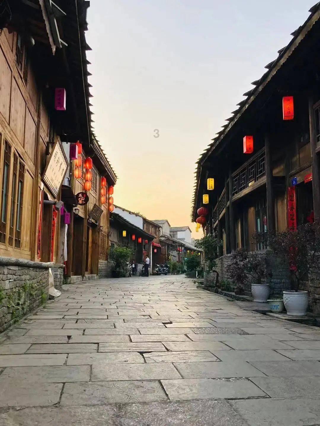 在抽血化验时用止血带扎住上臂，止血带下方远离心端的血管隆起，这隆起的血管和使其隆起的结构是（　　）游戏画面