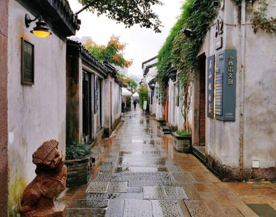 救援顽皮小猴