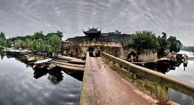组装机械章鱼龙