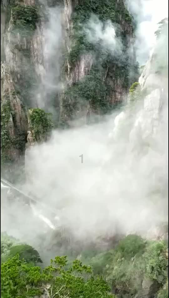 免vip电视追剧-机智问答,智慧解答你的疑惑